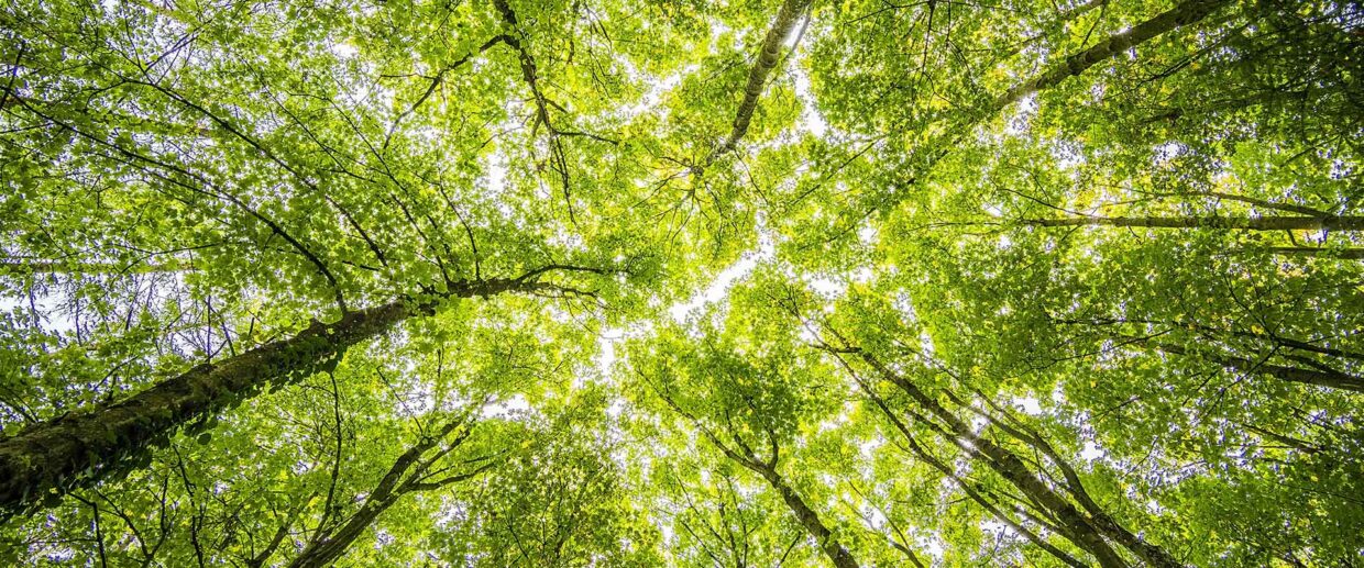 Measuring Data Center's Carbon Footprint: Scope 1, 2, and 3 Emissions
