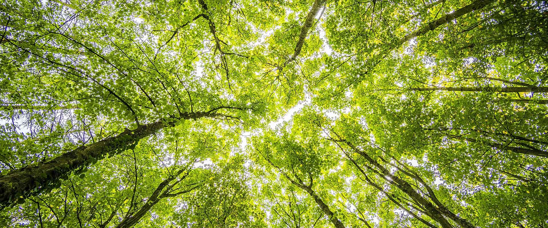 Measuring Data Center's Carbon Footprint: Scope 1, 2, and 3 Emissions